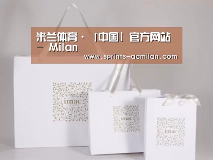 项目名称十一