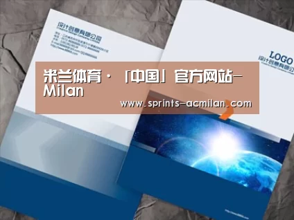 项目名称十